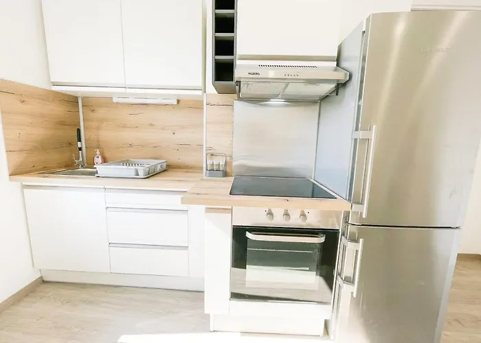 #ft Le Duplex Quiet & Renovated 公寓 格勒诺布尔